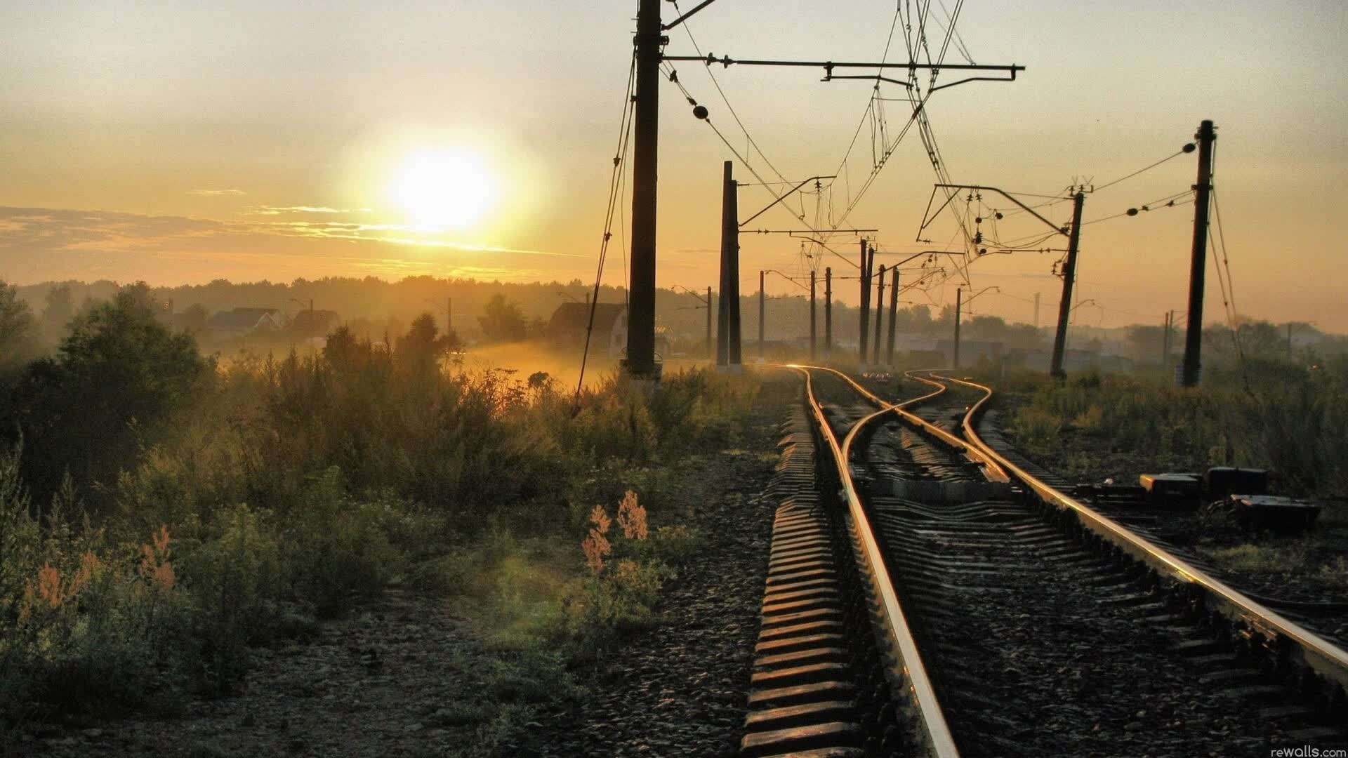 世界短跑世锦赛选手反兴奋剂教育加强，世界顶级短跑运动员的反应速度